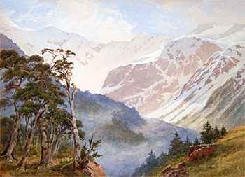 The Spur, Mt Rolleston