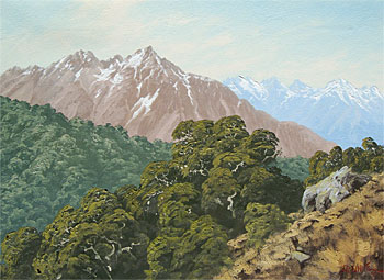 Red Mountain, Red Hills Range, South Westland