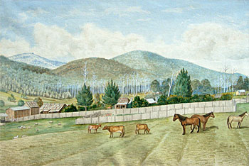 A Settlers Farm