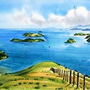 Coromandel Islands