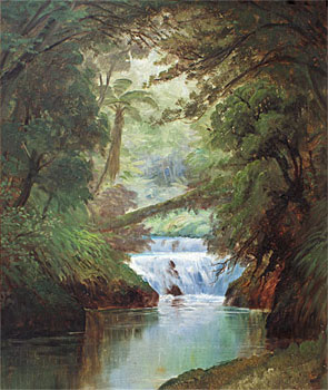 A Bush Creek