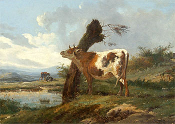 Cattle in a Field