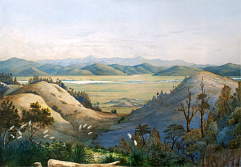 View of the Mangatawhiri Swamp from Pokeno - Koheroa Pah in The Distance