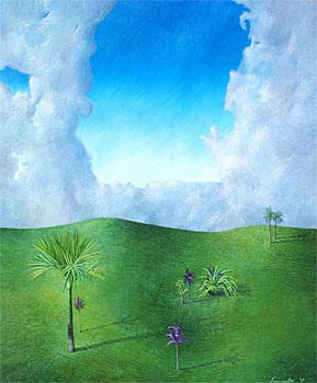 Nikau Landscape with Rectangular Cloud Forms