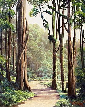 A Woodland Pathway, Southland