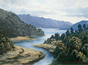 Mokau River, Urewera, Lake Waikaremoana