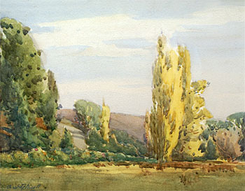 Poplars, Nelson