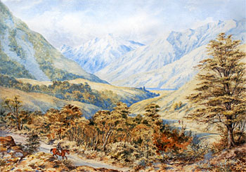 Craigieburn Valley on the West Coast Road from Christchurch to Hokitika