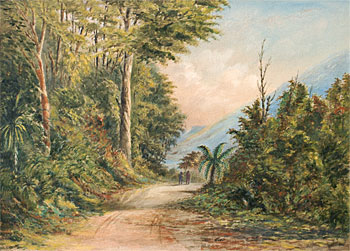 Wairarapa Bush Scene