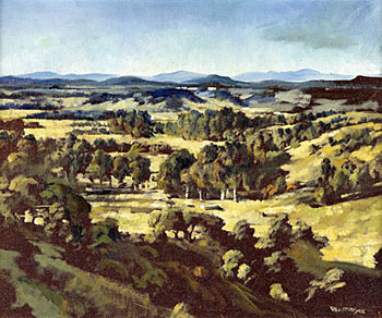 King Country Landscape