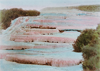 Pink Terraces