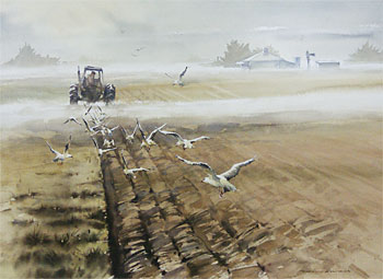 Ploughing the Fields