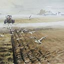 Ploughing the Fields