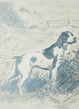 The Pointer