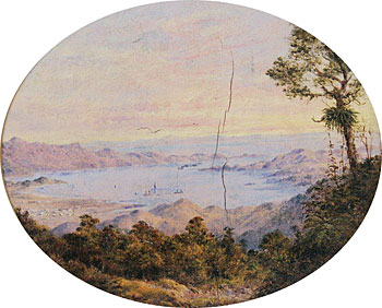 Coromandel Peninsula, c. 1874