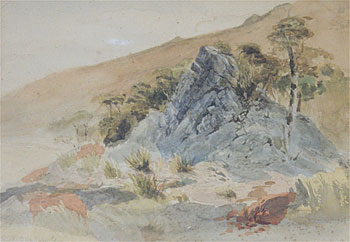 Rocks, Dun Mountain