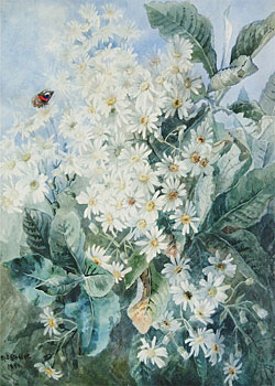 White Daisies and Butterfly