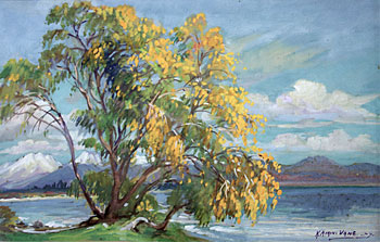 Glendhu Bay, Wanaka