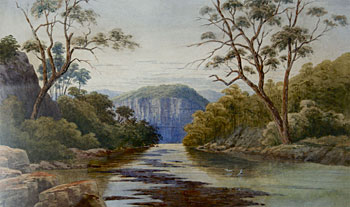 Above the Falls, Blue Mountains