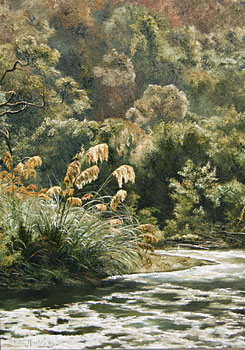 Bend of River, Early Morning, Urewera
