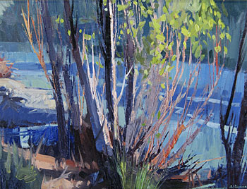 Willows, Taylor River