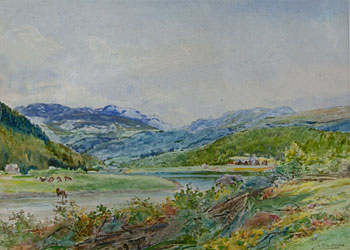 Nelson Landscape