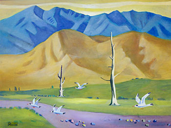 Gulls in an Otago Landscape