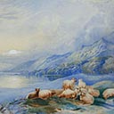 Cattle Resting by a Loch