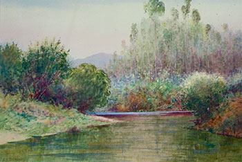 Waikato River Scene