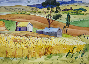 Untitled - Corn Fields