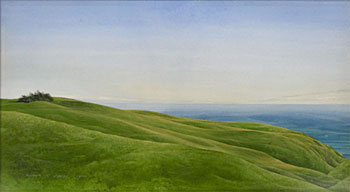 Windshear - Otago Landscape