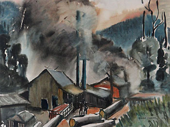 The Timber Mill - ( Fire Behind Sawmill, Te Whaiti)