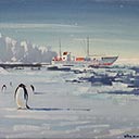 Polar Ship and Penguin, Antarctica