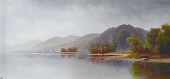Lake Rotoiti, Nelson Lake