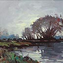 Willows, Oreti River, Southland