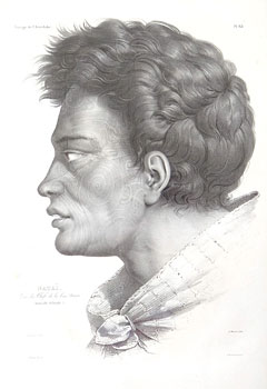 Natai Ngapuhi Chief - - from Voyage de la Astrolabe 1826-1829 Plate 63
