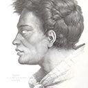 Natai Ngapuhi Chief - - from Voyage de la Astrolabe 1826-1829 Plate 63