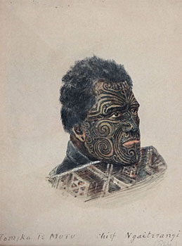 Tomika Te Mutu, Chief of Ngaiterangi Tribe