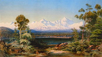 Mt Tasman and Mt Cook