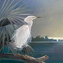 Egret and Native Palm