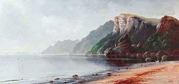 Cliffs, Mercury Island