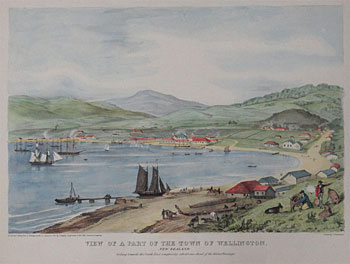 View of a Part of the Town of Wellington New Zealand Looking Towards the South East Comprising About one third of the Water Fro