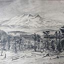Mt Ruapehu from Rangatau