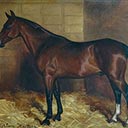 Sir Robert Lockhart's Polo Pony Chimmie