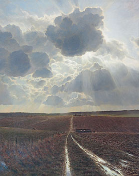 Sunlight over Ploughed Fields