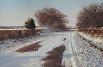 Road in Snow
