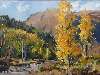 Autumn, Bush Creek
