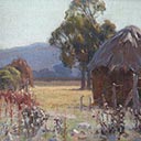 Taranaki Landscape