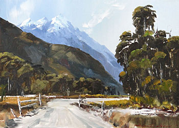 The Haast Pass, Westland