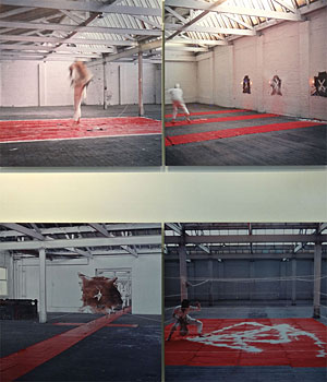 '20 Directions in an Enclosure' Ngauranga Set 78 - (group of 4), 1978 - 2007